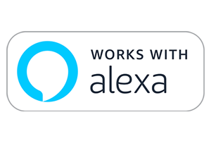 Work store with alexa