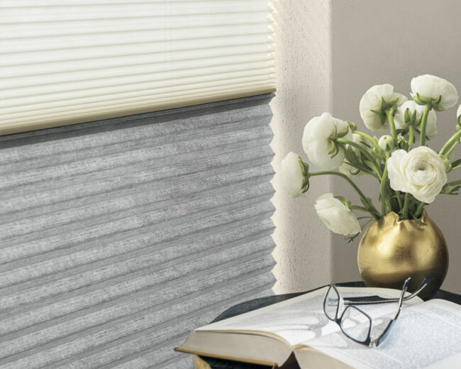 applause honeycomb shades with dual shades two on one