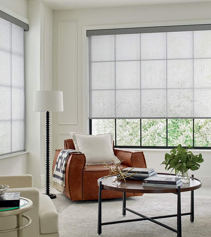 living room with designer screen shades with leather chair in brown tone