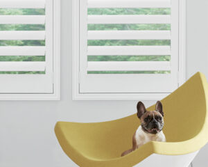 cordless blinds next to modern chair with dog in it