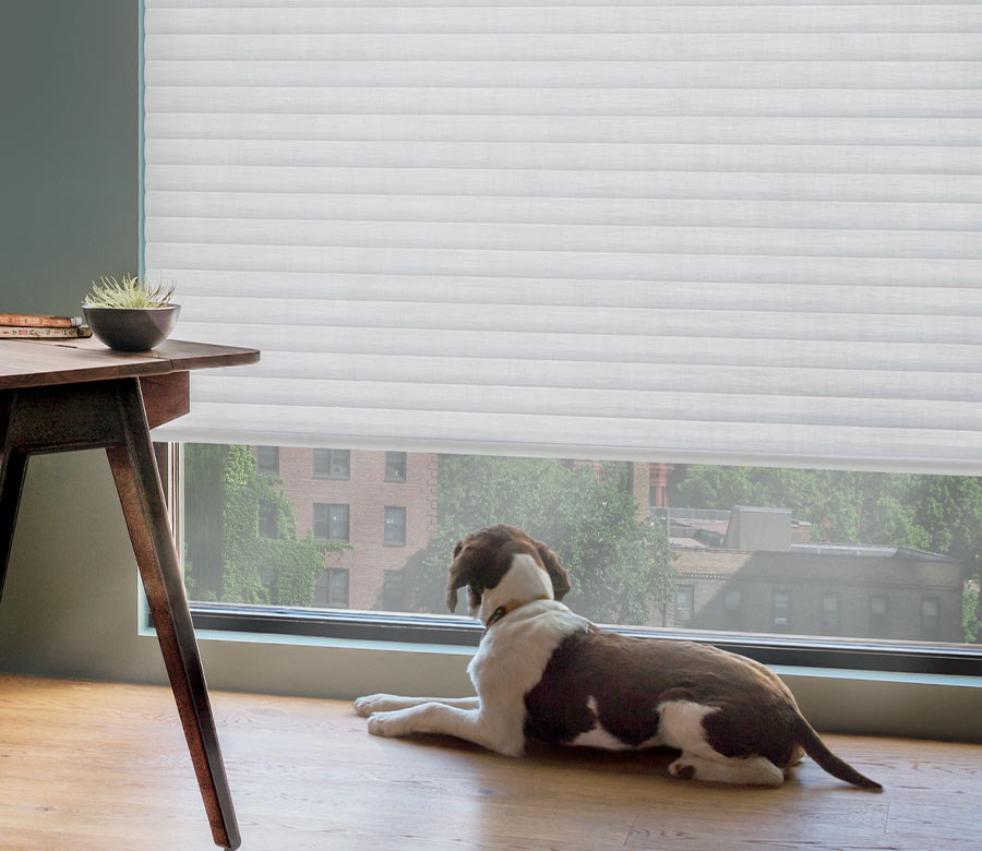 cellular shades in home office space with dog by window