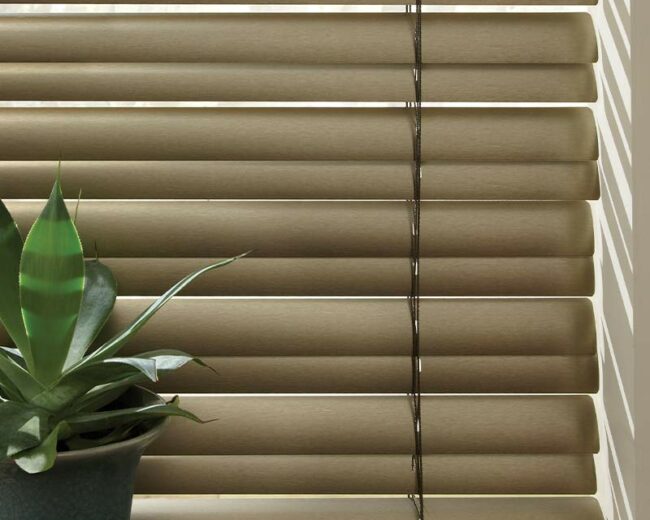 detail of horizontal blinds with cordless feature next to house plant