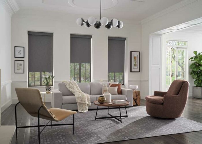 contemporary living room design with dual roller shades