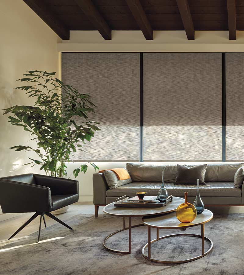 two fabric shades same headrail maximum energy efficiency cool the home with Hunter Douglas Shades